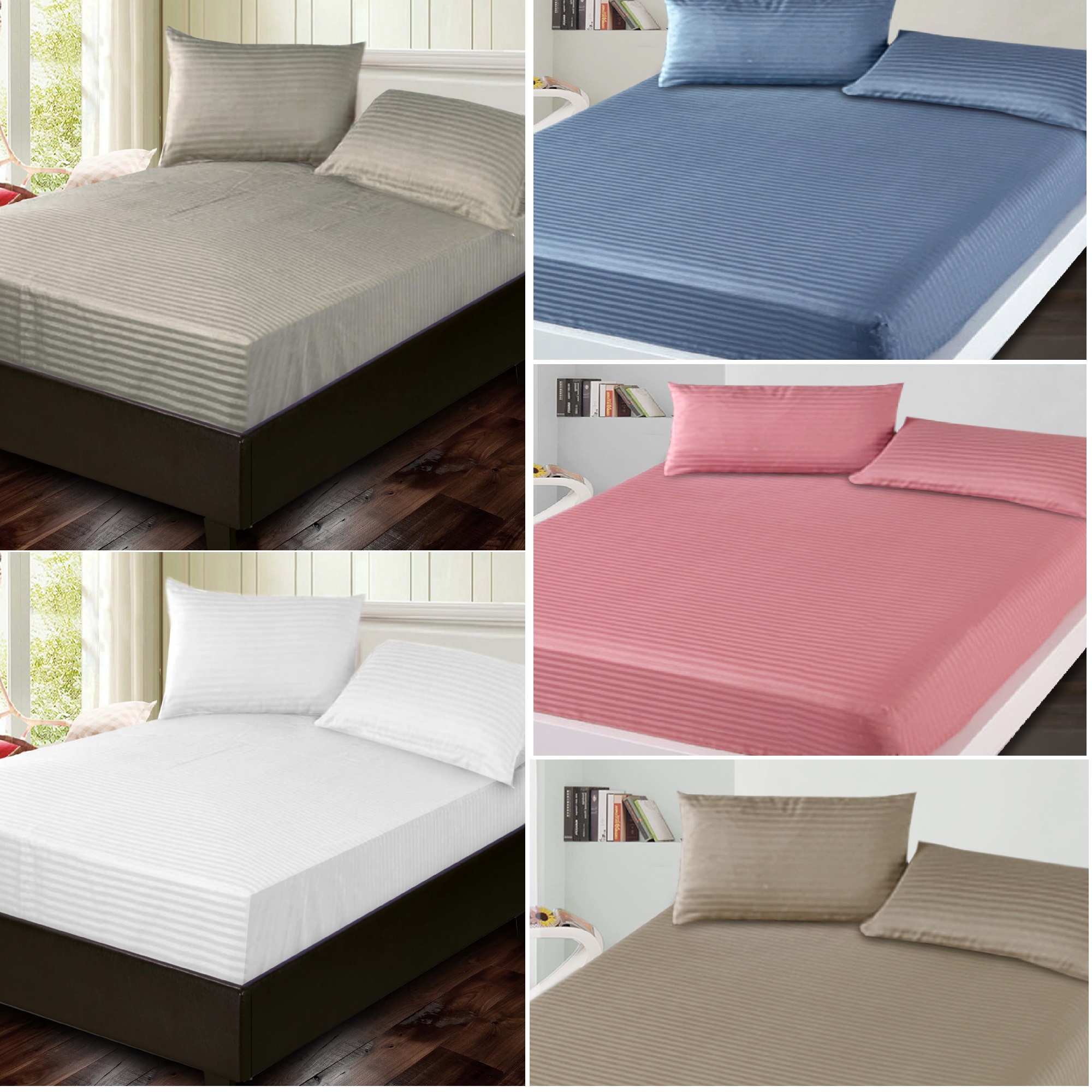 Essina Prismatic Collection Microfiber Plush 500TC Fitted Bed sheet Cadar Plain + Pillow case King/Queen/Super Single/Single