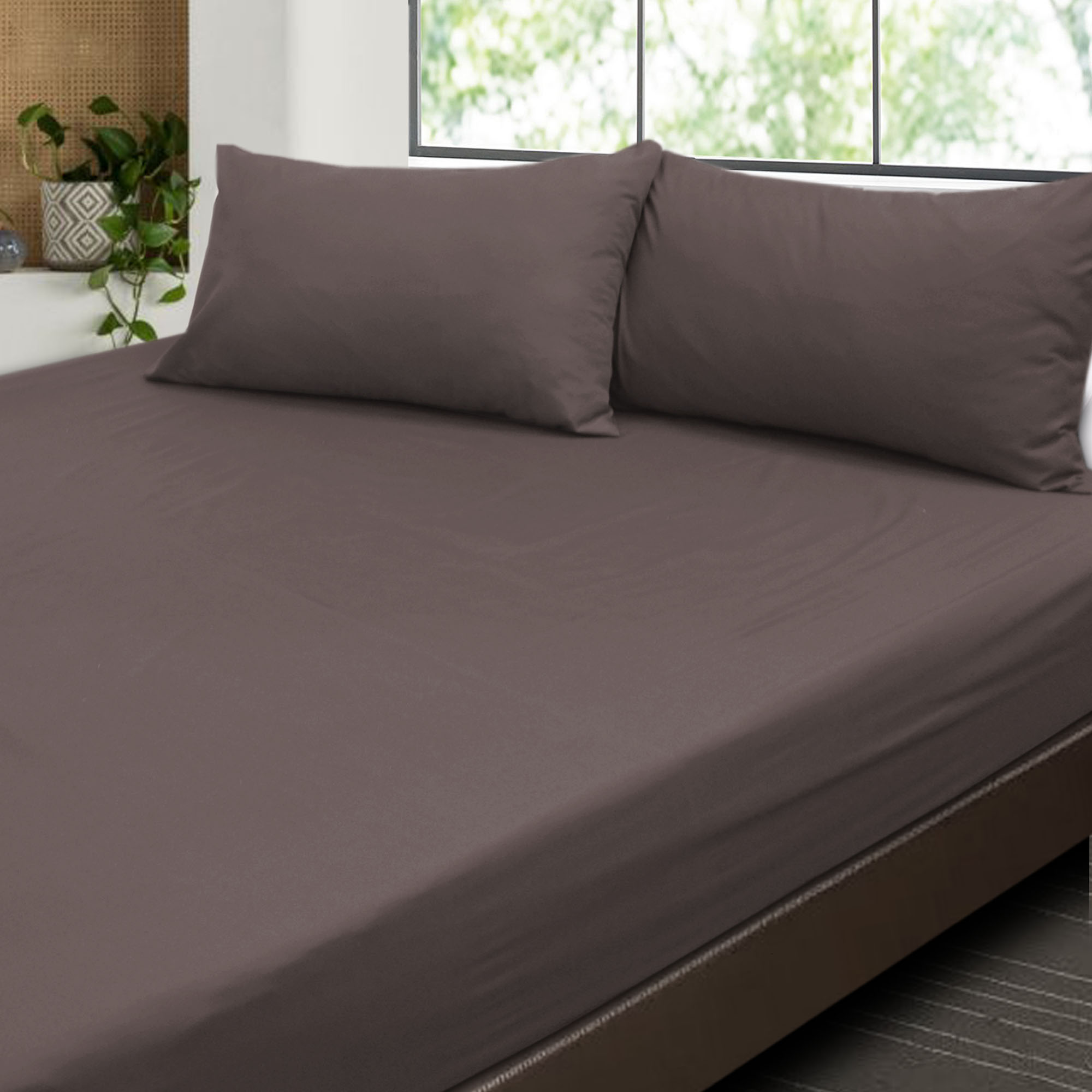 Cozzi Magic Microfiber Plush Fitted Bedsheet Cadar Plain Color King / Queen / Super Single with Pillow Cases